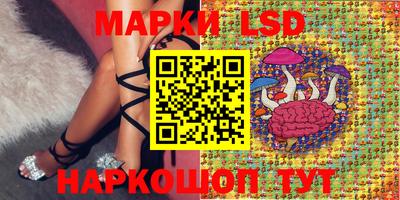 крисы Моздок