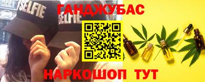 крисы Моздок