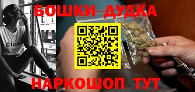 крисы Моздок