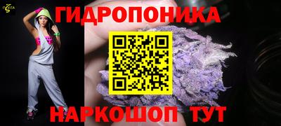 крисы Моздок