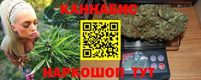 крисы Моздок