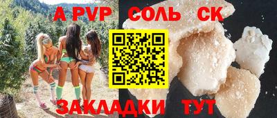 крисы Моздок
