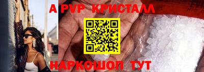 крисы Моздок