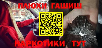 крисы Моздок