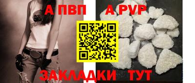 крисы Моздок