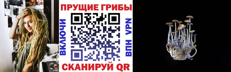 кракен маркетплейс Самара Псилоцибиновые грибы Cubensis