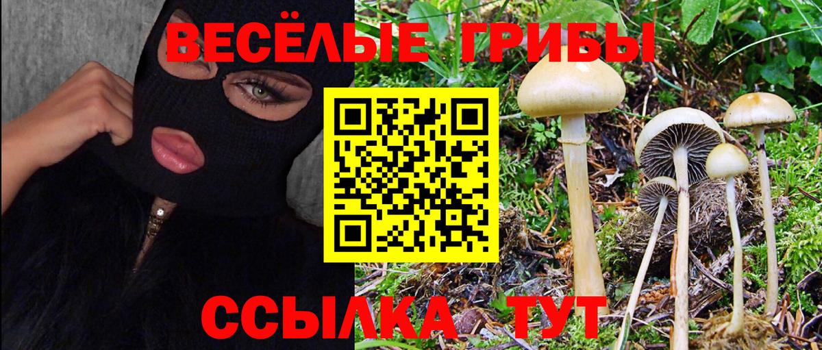 Самара  Псилоцибиновые грибы Psilocybine cubensis  Вход с VPN 